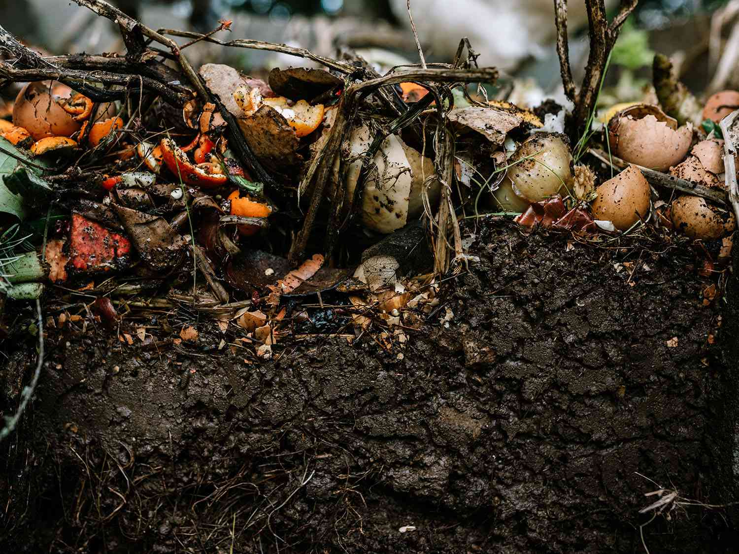 Composting: Turning Waste into Garden Gold
